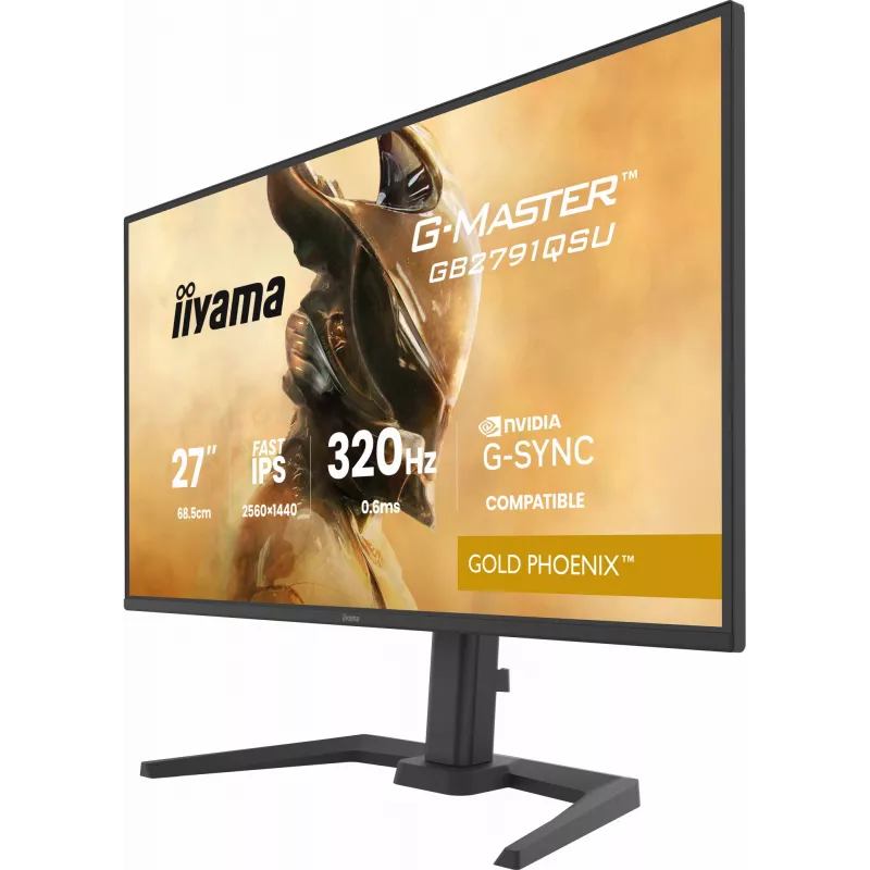 Žaidimų monitorius IIYAMA GB2791QSU-B1 27 colių (68,6 cm) QHD su HDMI, DisplayPort ir USB, juodas