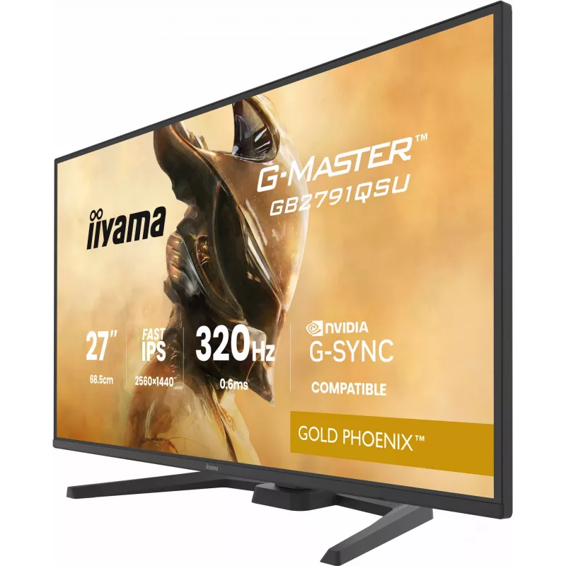 Žaidimų monitorius IIYAMA GB2791QSU-B1 27 colių (68,6 cm) QHD su HDMI, DisplayPort ir USB, juodas