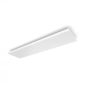 Paviršinio montavimo šviestuvas Philips Hue 929003736401