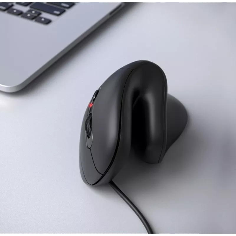 Equip 245119 pelė universali dešiniarankiams USB Type-A + USB Type-C optinė 7200 DPI
