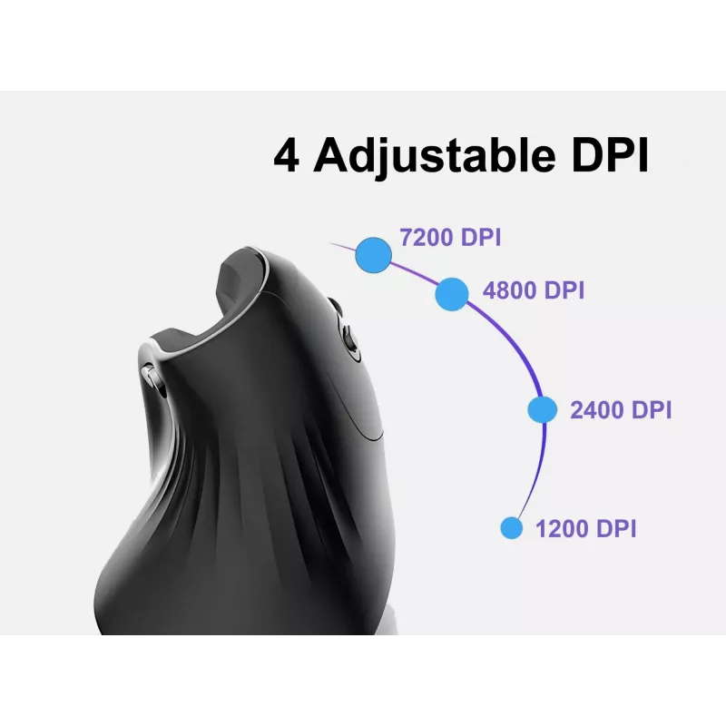 Equip 245119 pelė universali dešiniarankiams USB Type-A + USB Type-C optinė 7200 DPI