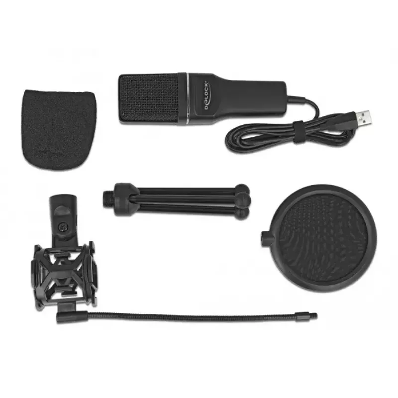 PC mikrofonas DeLOCK 66331
