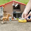 Veterinarijos praktika su augintiniais Schleich 42502