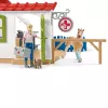 Veterinarijos praktika su augintiniais Schleich 42502