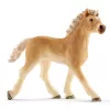 Veterinarijos praktika su augintiniais Schleich 42502
