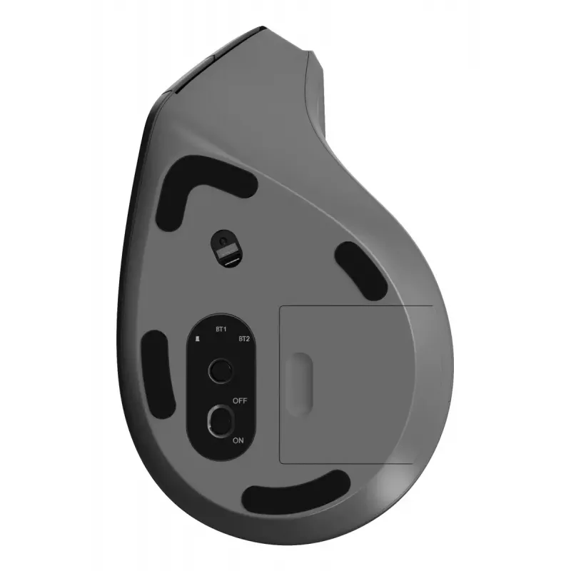 Pelė Rapoo EV310M RF Wireless + Bluetooth