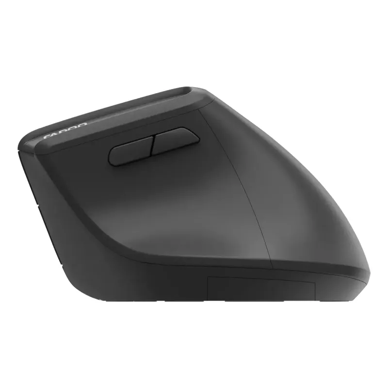 Pelė Rapoo EV310M RF Wireless + Bluetooth