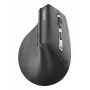 Pelė Rapoo EV310M RF Wireless + Bluetooth