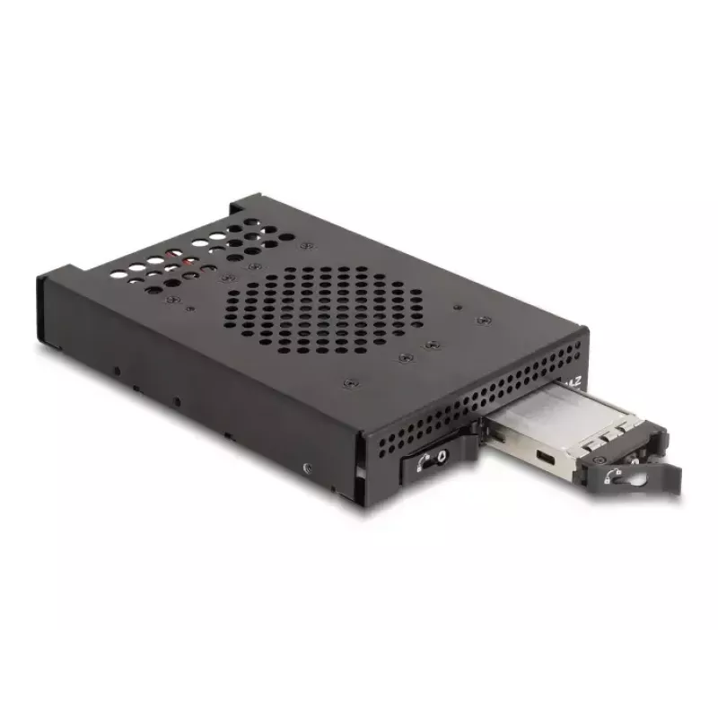 HDD dėklas DeLOCK 47070 Rack Suderinamas Metalas 100mm Plotis