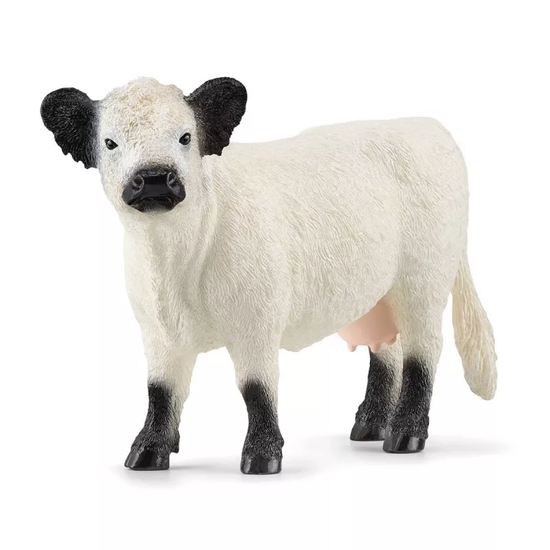 Schleich Galloway karvė 13960 juoda balta rekomenduojamas amžius 3+