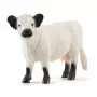 Schleich Galloway karvė 13960 juoda balta rekomenduojamas amžius 3+