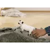 Schleich Galloway karvė 13960 juoda balta rekomenduojamas amžius 3+