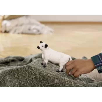 Schleich Galloway karvė 13960 juoda balta rekomenduojamas amžius 3+