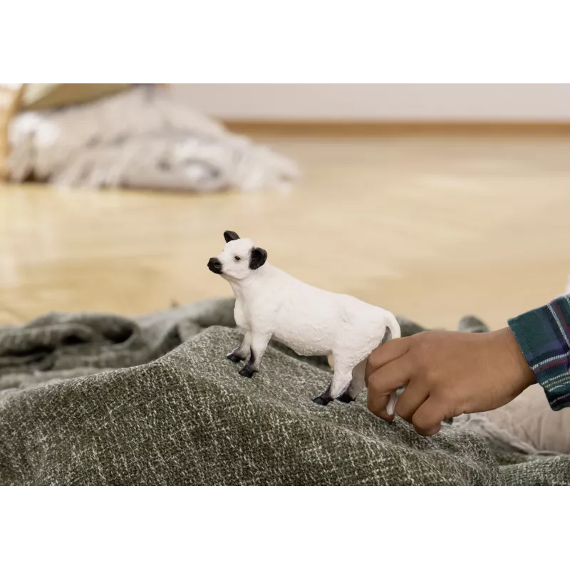 Schleich Galloway karvė 13960 juoda balta rekomenduojamas amžius 3+