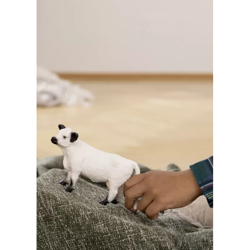 Schleich Galloway karvė 13960 juoda balta rekomenduojamas amžius 3+