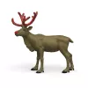 schleich WILD LIFE Golden Anniversary Reindeer, 14 m., įvairiaspalvis, 1 vnt.