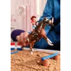 schleich HORSE CLUB Hannah's Western Adventures, 5 metai(ų), Arkliai, Įvairiaspalvis, Plastikas