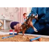 schleich HORSE CLUB Hannah's Western Adventures, 5 metai(ų), Arkliai, Įvairiaspalvis, Plastikas