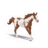schleich HORSE CLUB Hannah's Western Adventures, 5 metai(ų), Arkliai, Įvairiaspalvis, Plastikas