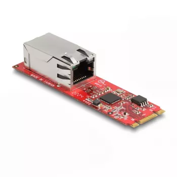 DeLOCK keitiklis M.2 Key B+M kištukas į RJ45 2.5 Gigabit LAN prievadą
