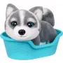 Moose Toys Little Live Pets My Really Real Puppy Mini's - Aurora Husky