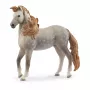 schleich HORSE CLUB Andalūzijos eržilas įvairiaspalvis 14895S