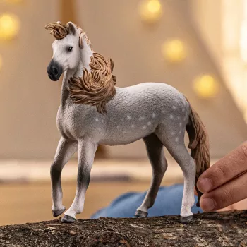 schleich HORSE CLUB Andalūzijos eržilas įvairiaspalvis 14895S