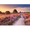 Dėlionė Ravensburger Pink Pathway Nyderlandai, 1000 vnt., 700×? mm, 2 mm storio