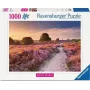 Dėlionė Ravensburger Pink Pathway Nyderlandai, 1000 vnt., 700×? mm, 2 mm storio