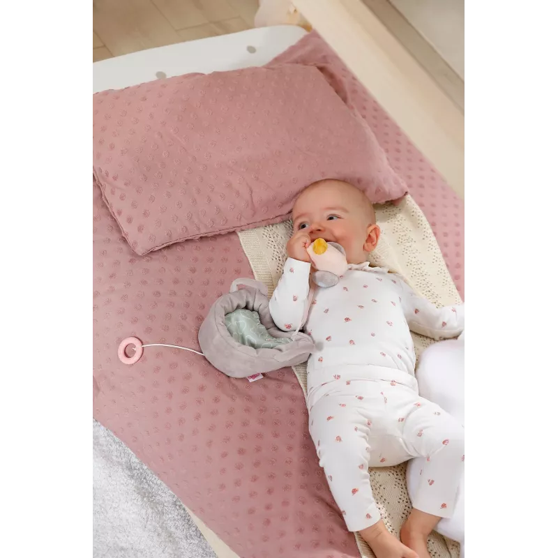 BABY born 839331 minkštas žaislas