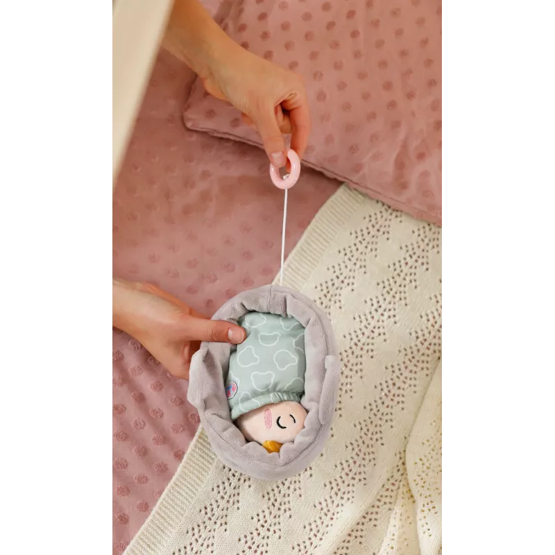 BABY born 839331 minkštas žaislas