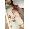 BABY born 840832 pliušinis žaislas