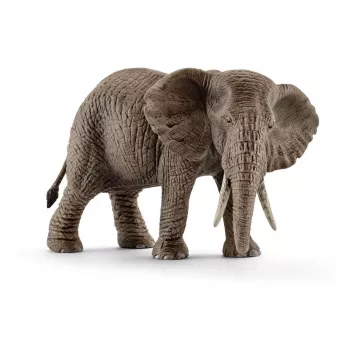 schleich WILD LIFE afrikinis dramblys, patelė, 3 metai, Safaris, Laukinių gyvūnų / nuotykių žaislai, Spalvota, Plastikas, 1 vnt.