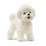 schleich Bichon Frise, 3 m., Šunys, Ūkio gyvūnai / ūkio žaislai, Balta, Plastikas