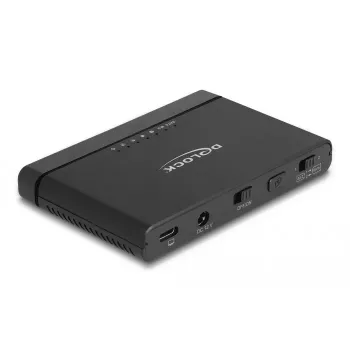 DeLOCK USB Type-C keitiklis, skirtas M.2 NVMe SSD ir SATA SSD HDD klonavimo funkcijai