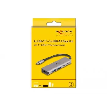 DeLOCK USB Hub 5 Gbps 2 Port USB Type-C ir 2 Port Type-A Pilkas Metalas
