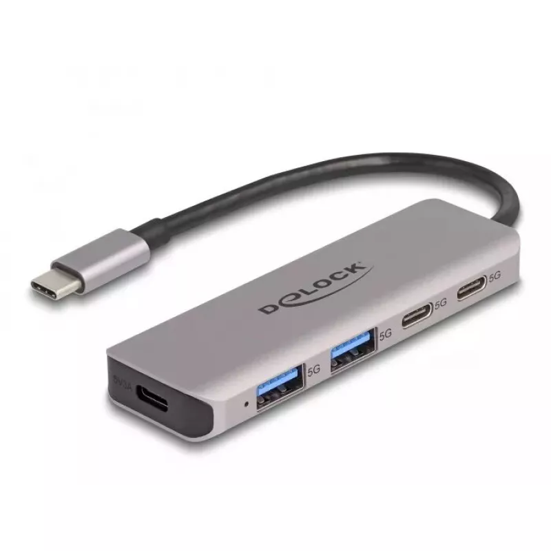 DeLOCK USB Hub 5 Gbps 2 Port USB Type-C ir 2 Port Type-A Pilkas Metalas