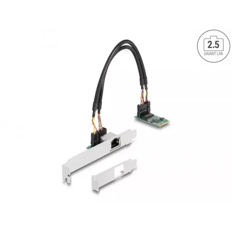 DeLOCK 95272 vidinė tinklo plokštė 2500 Mbit/s laidinis M.2 Ethernet