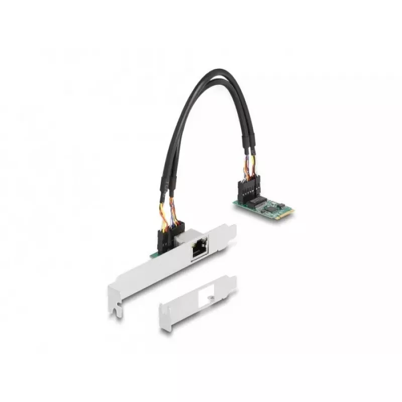 DeLOCK 95272 vidinė tinklo plokštė 2500 Mbit/s laidinis M.2 Ethernet