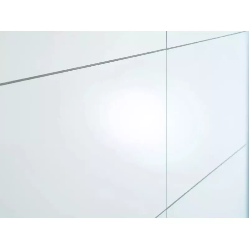 Tualetinio popieriaus laikiklis Tesa 40301-00000-00 montuojamas prie sienos, nerūdijantis plienas, 138×50×105 mm