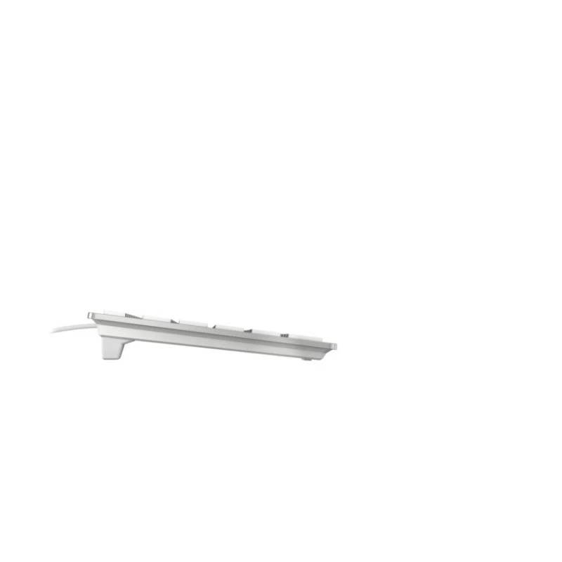 Laidinė Cherry KC 6000C for Mac klaviatūra — USB, QWERTY US English, žirkliniai jungikliai, 1,8 m laidas, sidabrinė