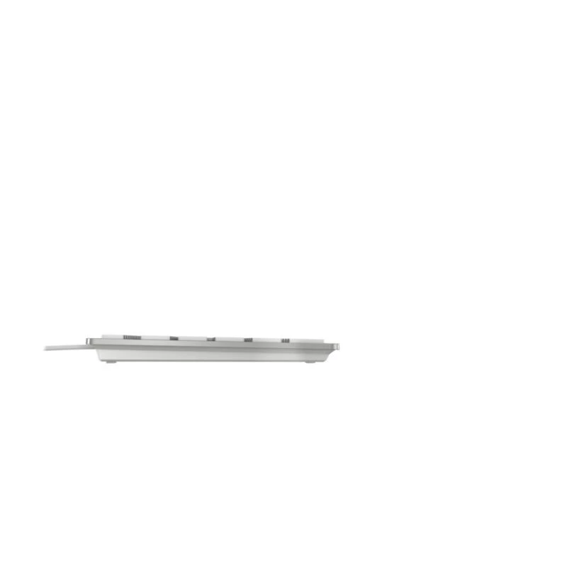Laidinė Cherry KC 6000C for Mac klaviatūra — USB, QWERTY US English, žirkliniai jungikliai, 1,8 m laidas, sidabrinė