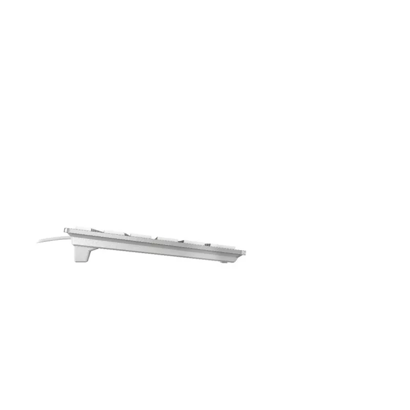 CHERRY KC 6000 plonas FOR MAC klaviatūra, skirta biurui, USB, QWERTY, šiaurietiška, sidabrinė