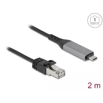 USB Type-C į RJ45 Gigabit Ethernet kabelis DELOCK 2 m Cat6 Antracitas/Juoda