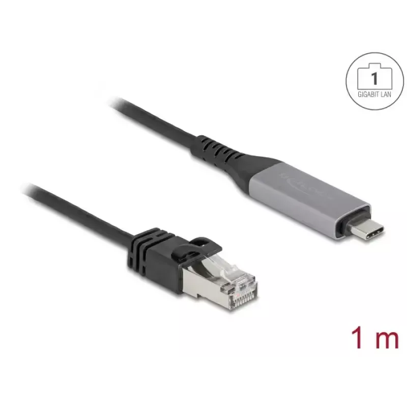 USB Type-C į RJ45 Gigabit Ethernet kabelis DELOCK 1 m Cat6 antracitas/juoda