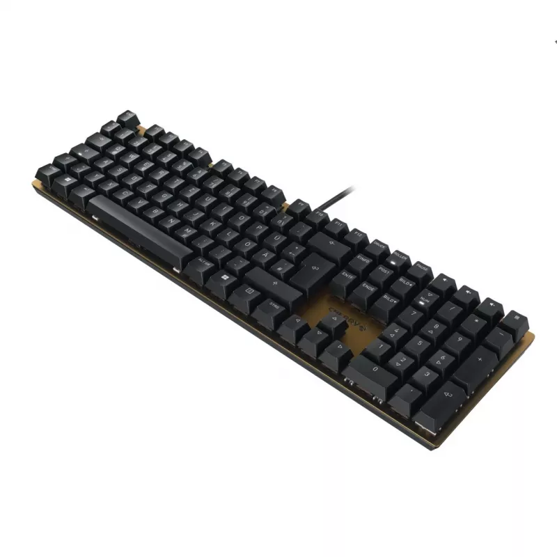 Mechaninė klaviatūra Cherry KC 200 MX USB QWERTY 108 klavišų juoda bronzinė