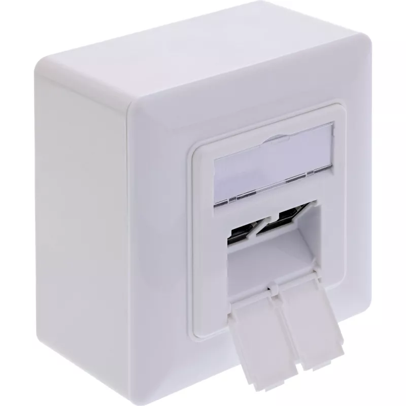 Kištukinis lizdas InLine 76842A 2 x RJ-45 baltas tinklo kabelis Cat 6a