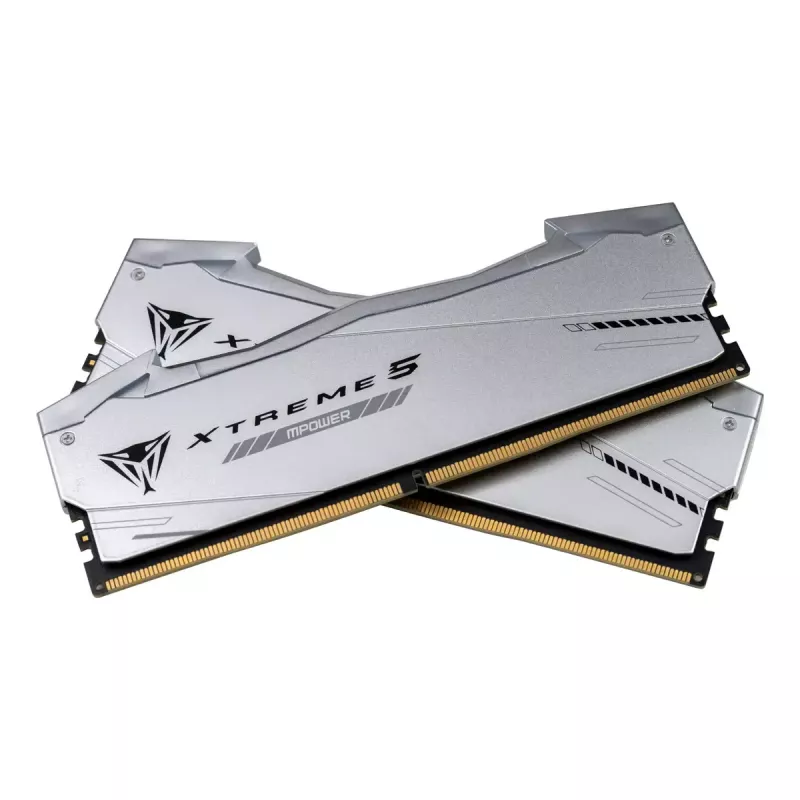 Memory Module Patriot Memory Viper Xtreme 5 RGB 48 GB DDR5 6000 MHz
