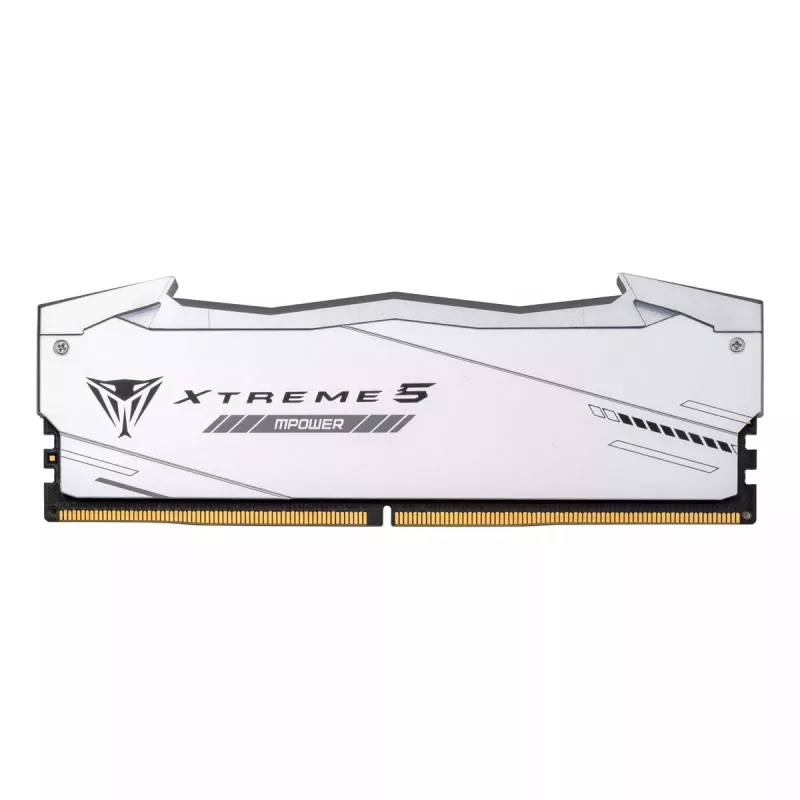 Memory Module Patriot Memory Viper Xtreme 5 RGB 48 GB DDR5 6000 MHz