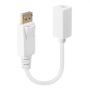 Lindy DisplayPort kištukas į Mini DisplayPort lizdą adapterio laidas